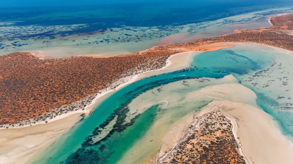 Aerial view of Shark Bay, Australia, showcasing vivid turquoise waters, sandy beaches, and red earth landscapes.